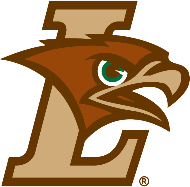 Lehigh Mountain Hawks iron ons